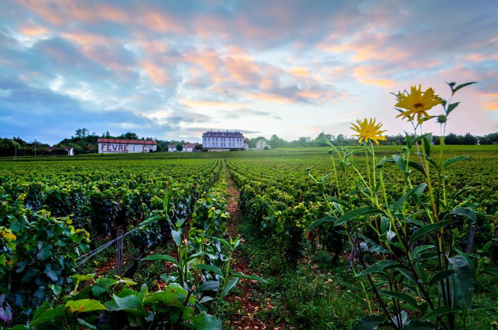 Gites Chateau Comblanchien Exterior photo